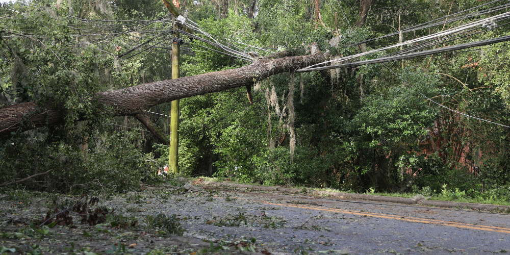 Weathering the Storm: How Grid Hardening Shields Communities