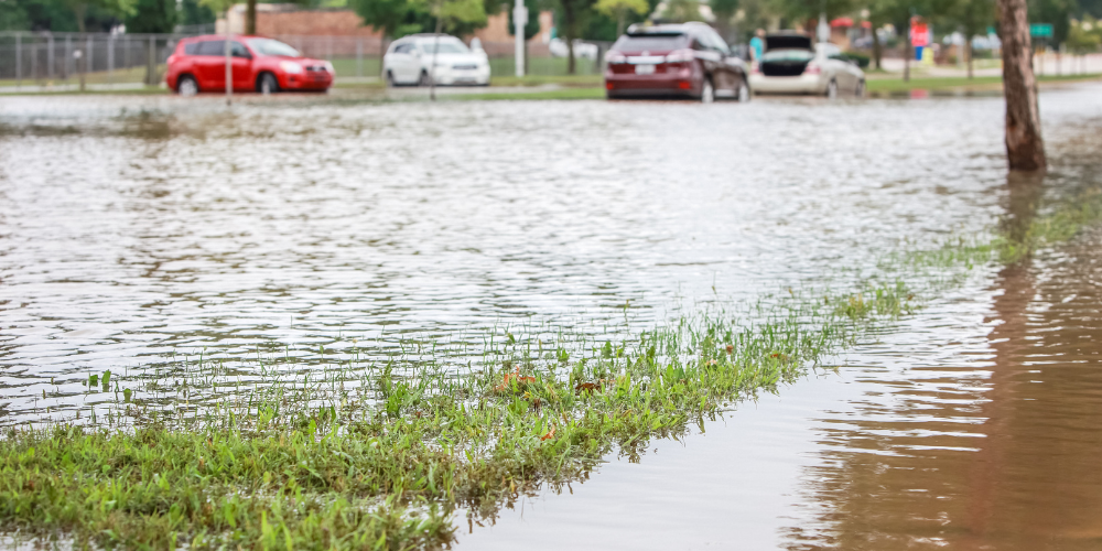 Rainwater Reimagined: Building Resilient and Sustainable Landscapes